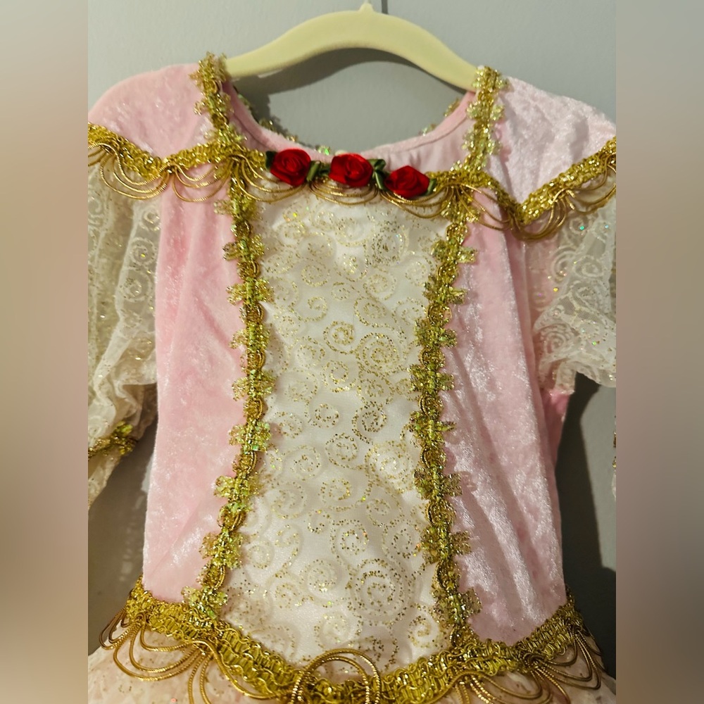 Girls Pink Princess Costume Dress with Gold Trim, Red Floral - Picture 3 of 9